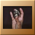 BABA-LINGAM8.jpg